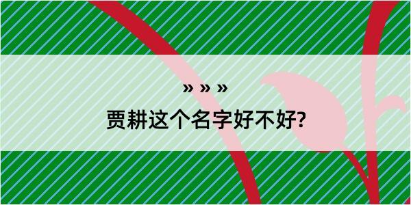 贾耕这个名字好不好?