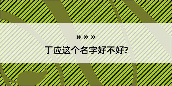 丁应这个名字好不好?