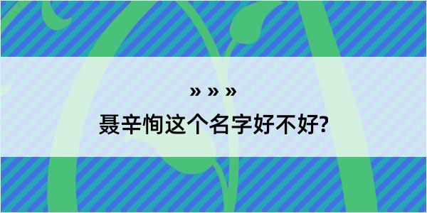 聂辛恂这个名字好不好?