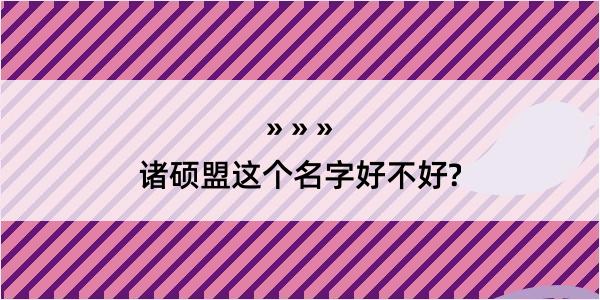 诸硕盟这个名字好不好?