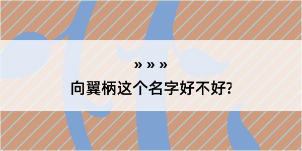 向翼柄这个名字好不好?