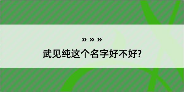 武见纯这个名字好不好?