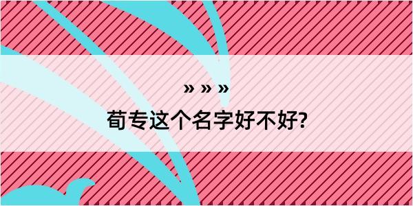 荀专这个名字好不好?