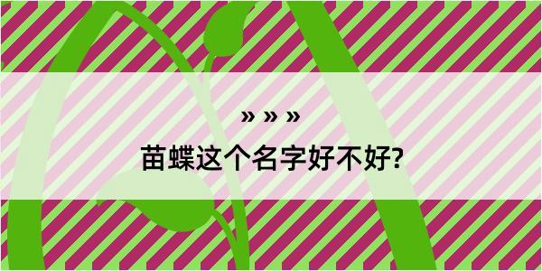 苗蝶这个名字好不好?