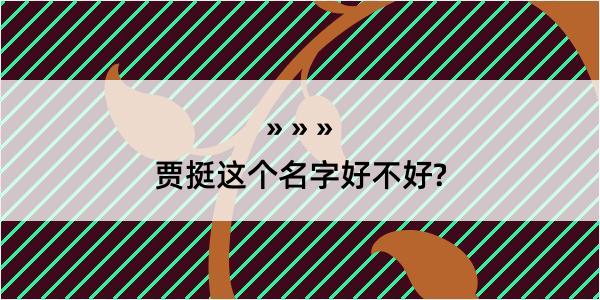 贾挺这个名字好不好?