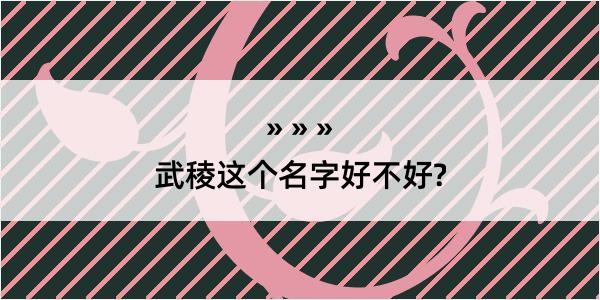 武稜这个名字好不好?