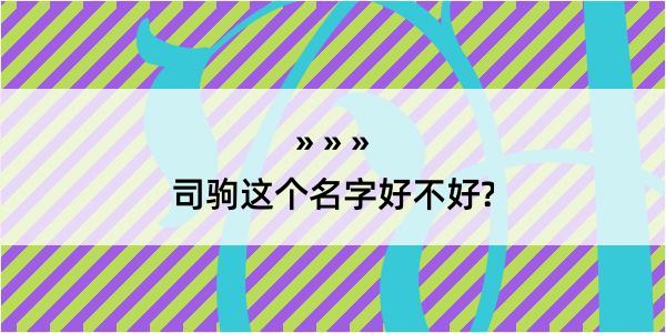 司驹这个名字好不好?