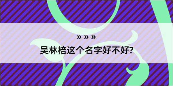 吴林棓这个名字好不好?