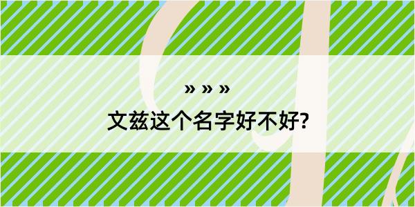 文兹这个名字好不好?