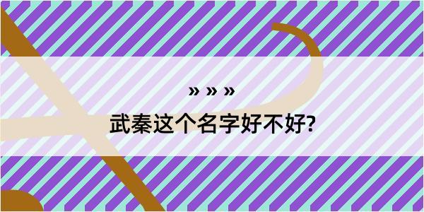 武秦这个名字好不好?