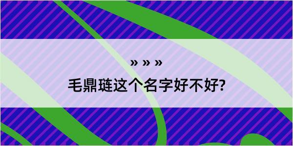 毛鼎琏这个名字好不好?