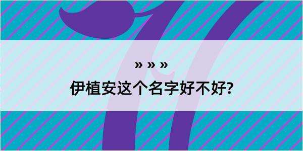 伊植安这个名字好不好?