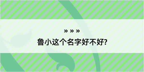 鲁小这个名字好不好?