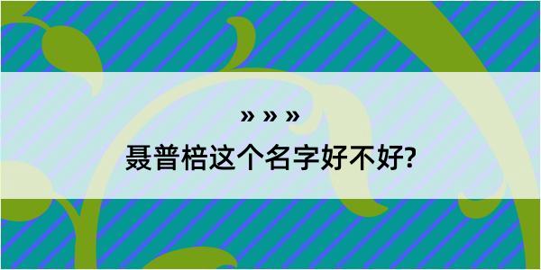 聂普棓这个名字好不好?