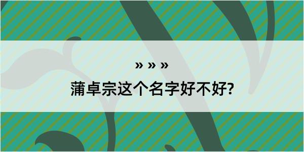 蒲卓宗这个名字好不好?