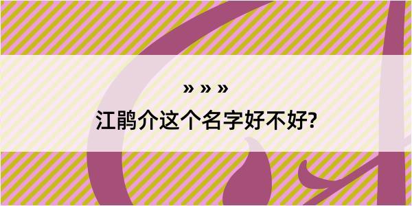 江鹃介这个名字好不好?