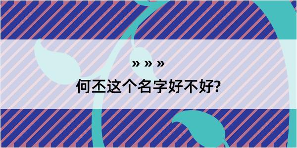 何丕这个名字好不好?