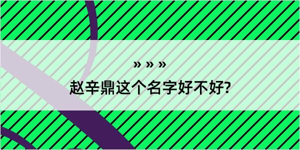 赵辛鼎这个名字好不好?