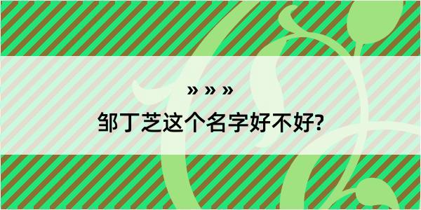 邹丁芝这个名字好不好?