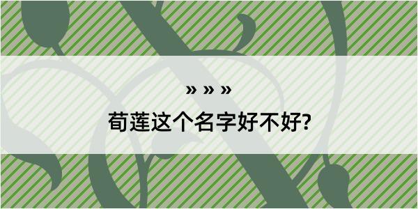 荀莲这个名字好不好?