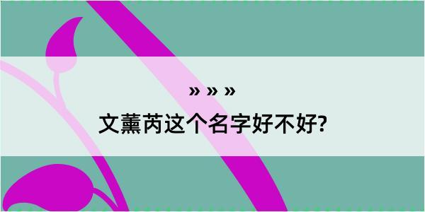 文薰芮这个名字好不好?