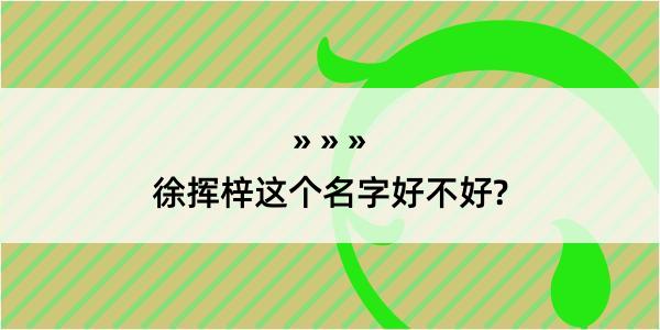 徐挥梓这个名字好不好?