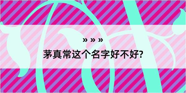 茅真常这个名字好不好?