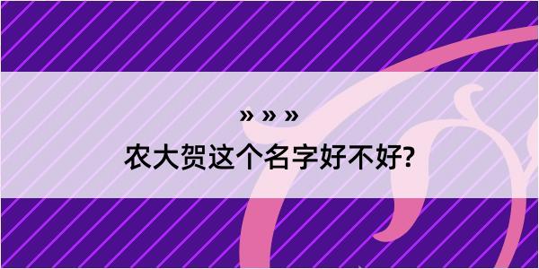 农大贺这个名字好不好?