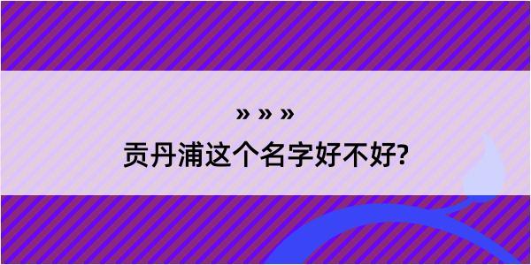 贡丹浦这个名字好不好?