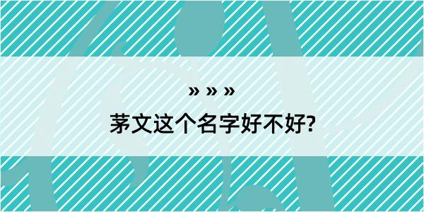 茅文这个名字好不好?