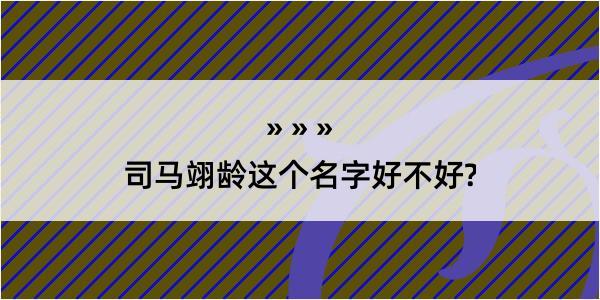 司马翊龄这个名字好不好?