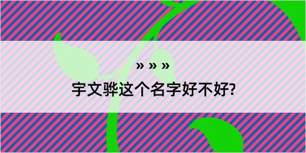 宇文骅这个名字好不好?