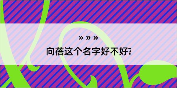 向蓓这个名字好不好?