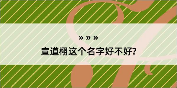 宣道栩这个名字好不好?