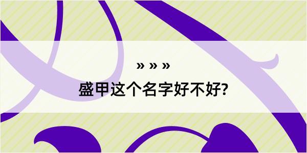 盛甲这个名字好不好?