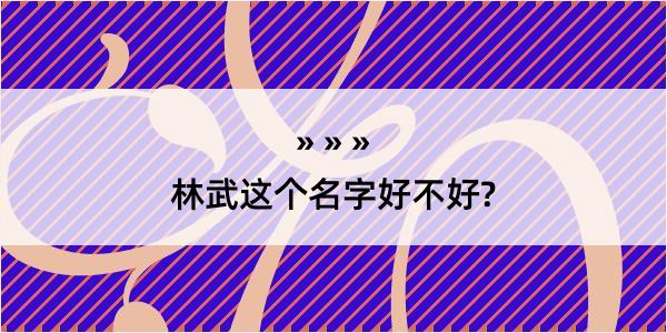 林武这个名字好不好?