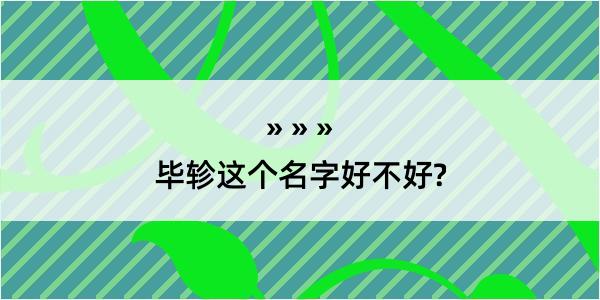 毕轸这个名字好不好?