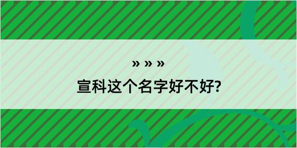 宣科这个名字好不好?