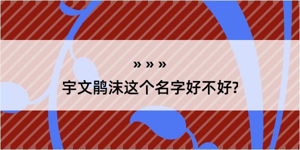 宇文鹃沫这个名字好不好?