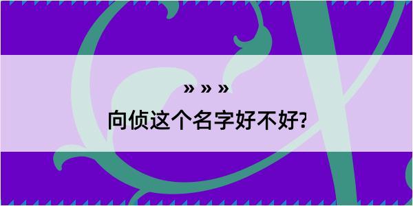 向侦这个名字好不好?