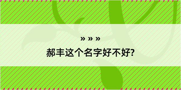 郝丰这个名字好不好?