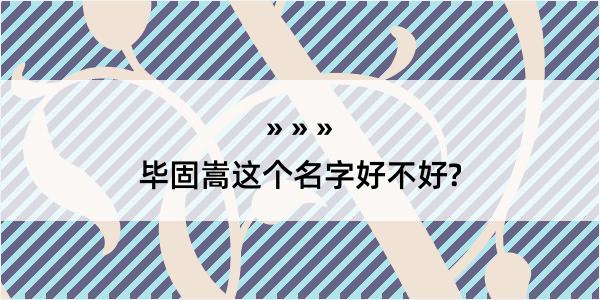 毕固嵩这个名字好不好?