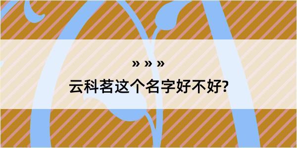 云科茗这个名字好不好?