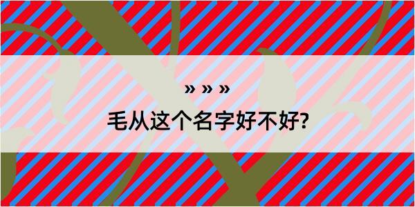 毛从这个名字好不好?