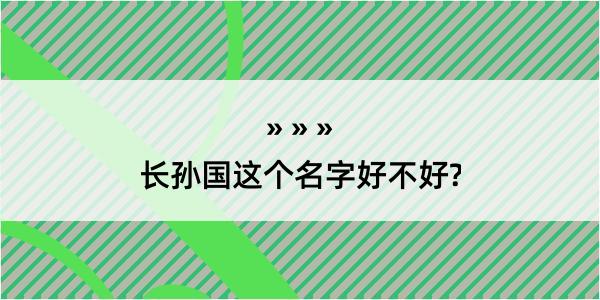 长孙国这个名字好不好?