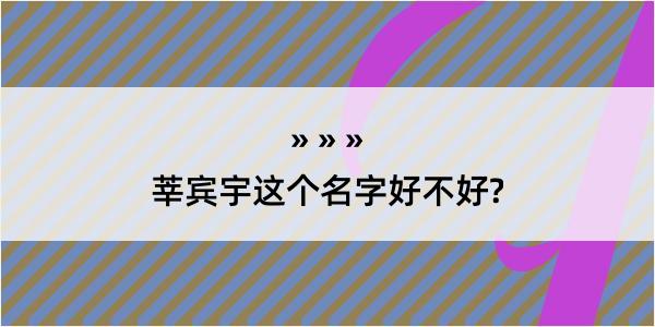 莘宾宇这个名字好不好?