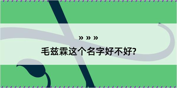 毛兹霖这个名字好不好?