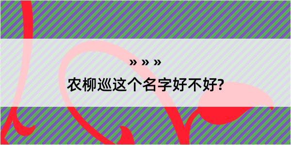 农柳巡这个名字好不好?