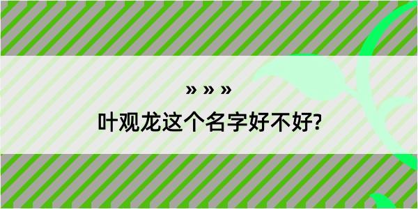 叶观龙这个名字好不好?