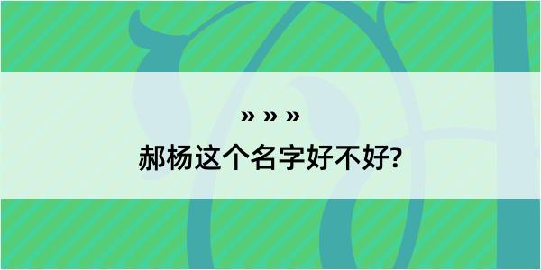 郝杨这个名字好不好?